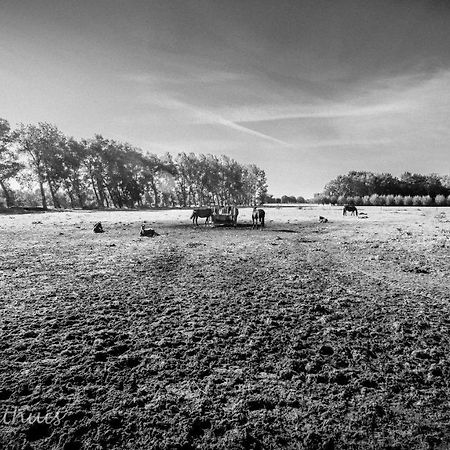 Bed & Breakfast De Bimd Hoeve De Bus Exterior foto